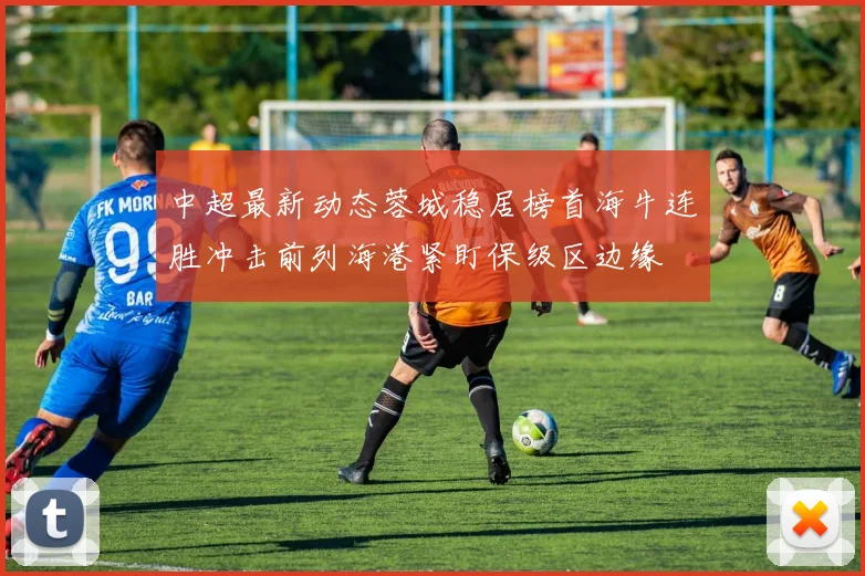 中超最新动态蓉城稳居榜首海牛连胜冲击前列海港紧盯保级区边缘